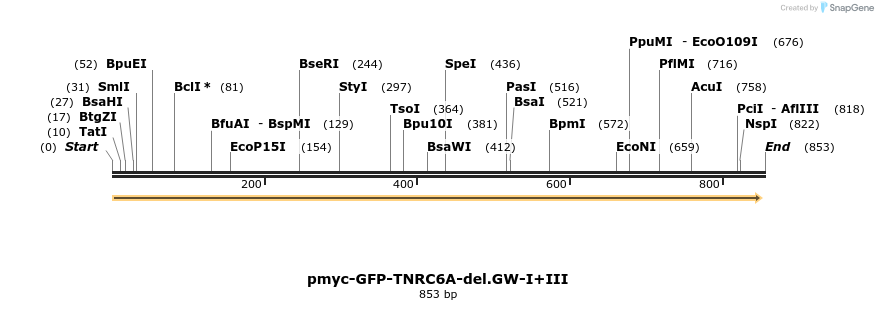 60042_map