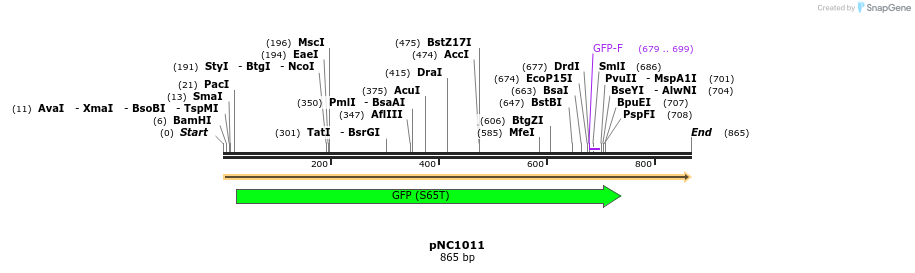 60043_map