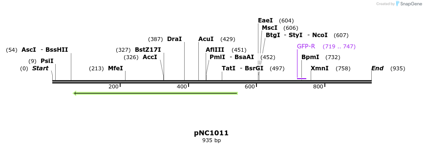 60045_map