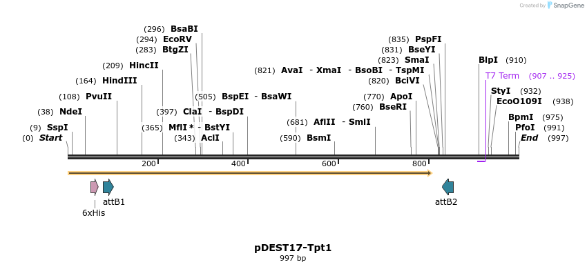 60047_map