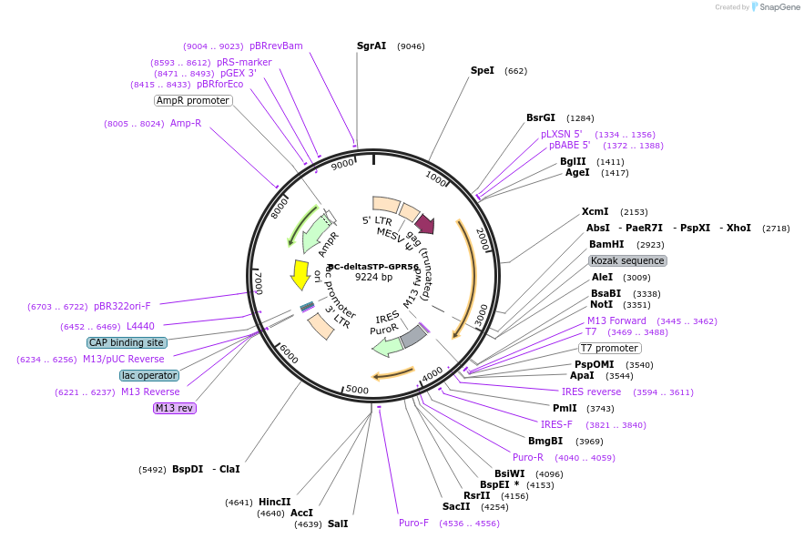 60050_map