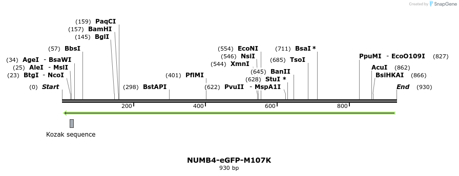 60051_map