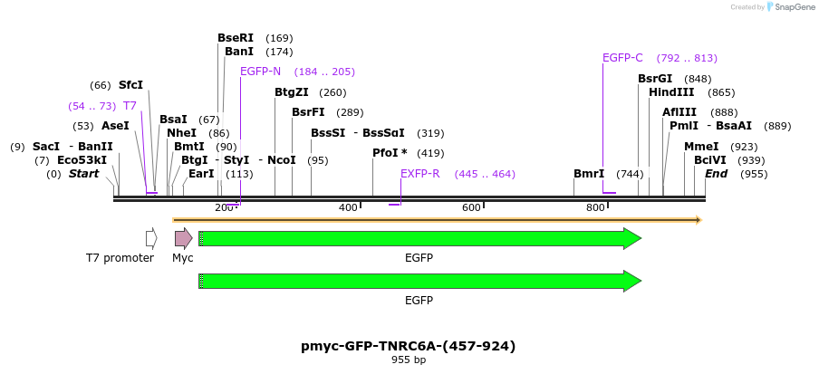 60052_map