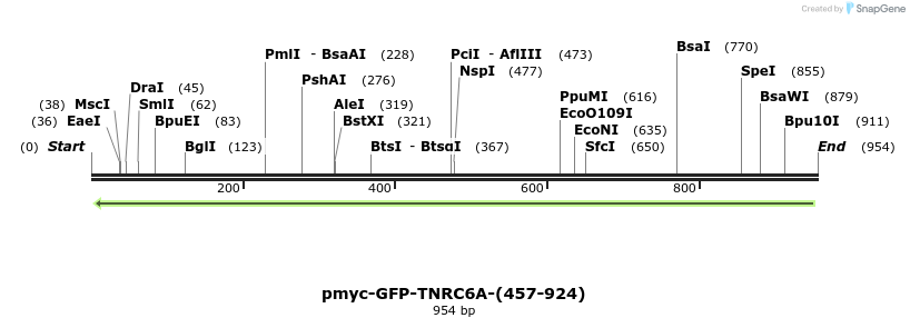 60053_map