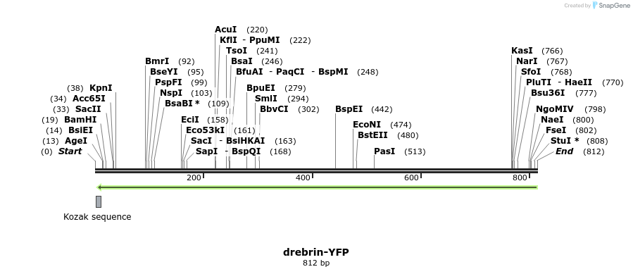 60056_map