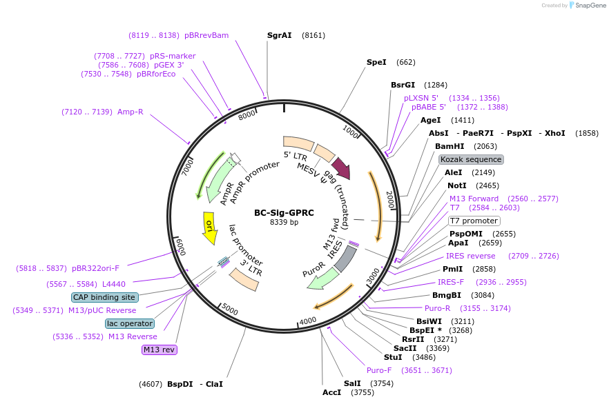 60060_map