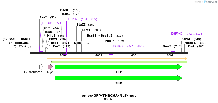 60063_map