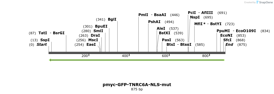 60064_map