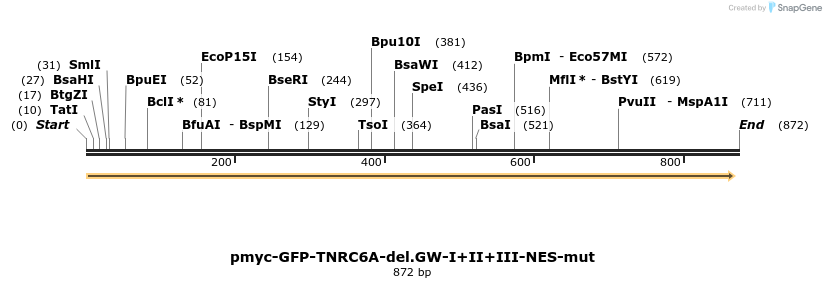 60069_map
