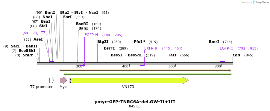 60070_map