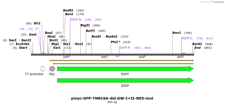 60076_map