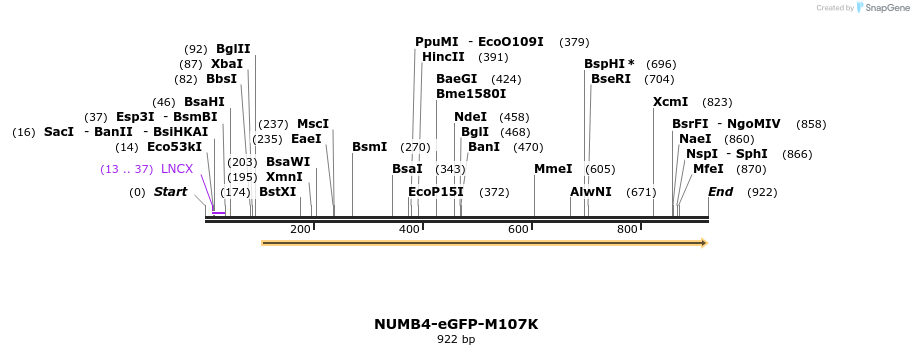 60077_map