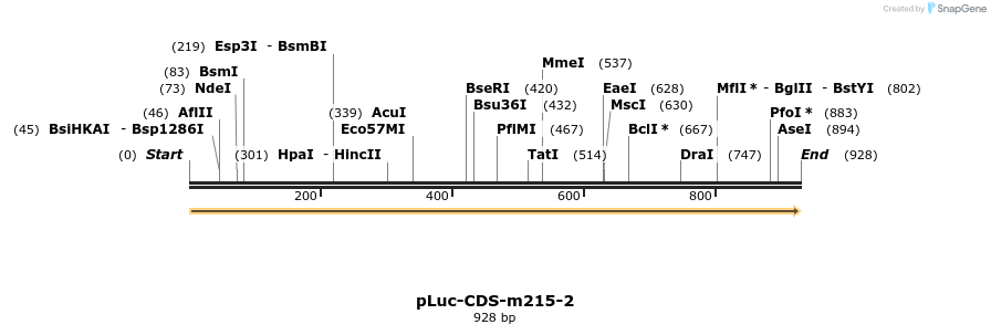 60080_map