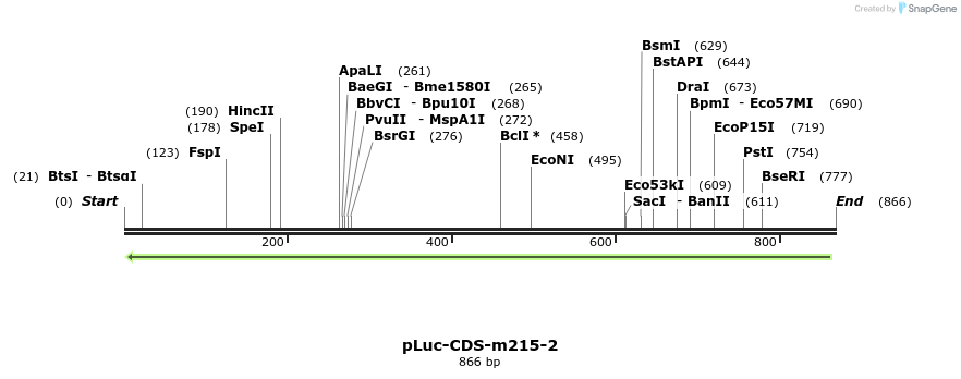 60081_map