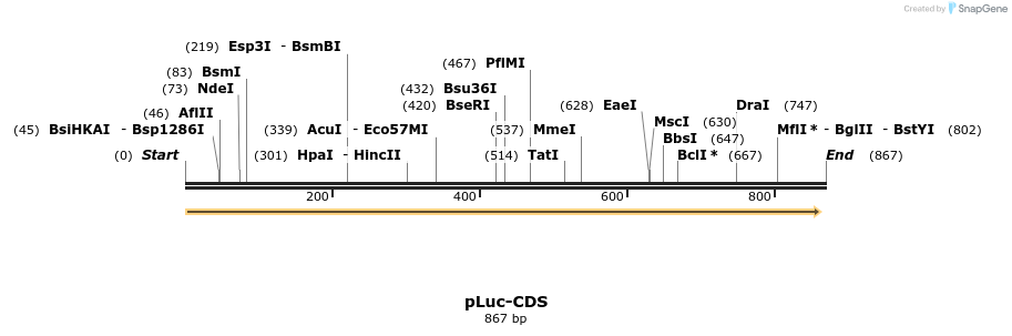 60084_map