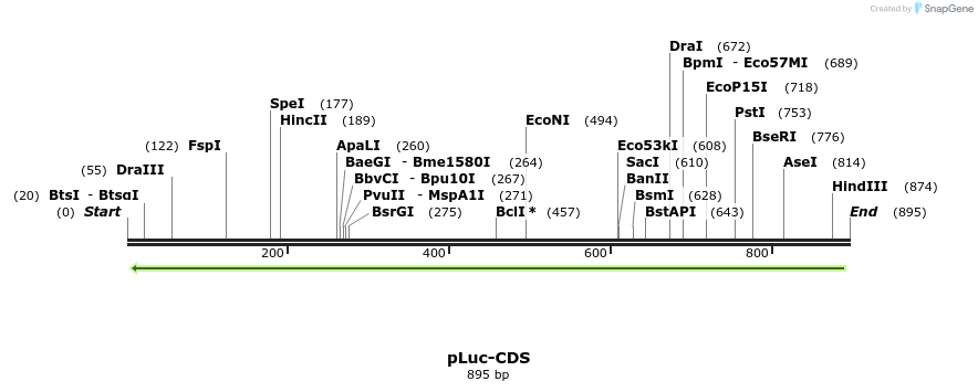 60085_map