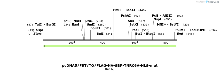 60088_map