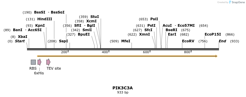 60094_map