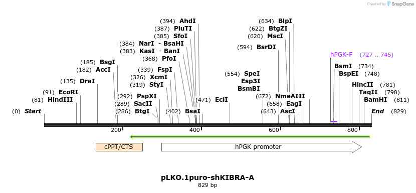 60102_map
