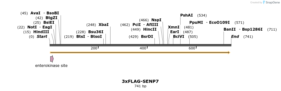 60103_map