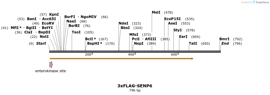 60106_map