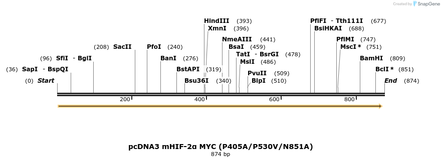 60107_map