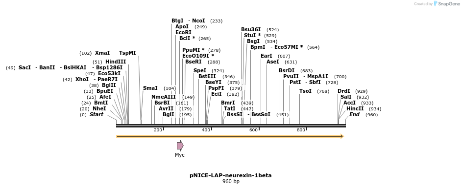 60109_map