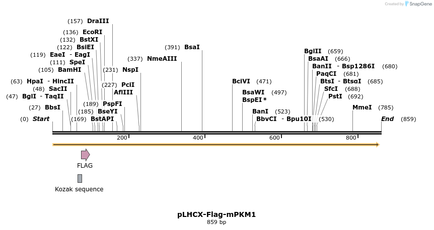 60110_map