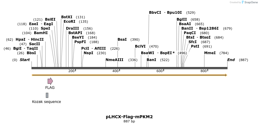 60111_map