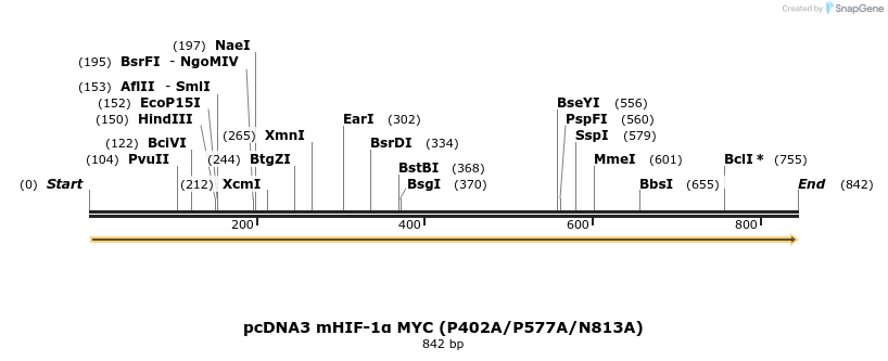 60114_map