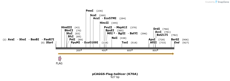 60121_map
