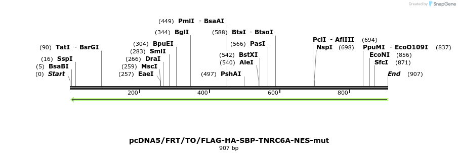 60124_map