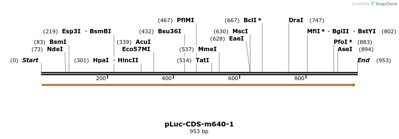 60126_map