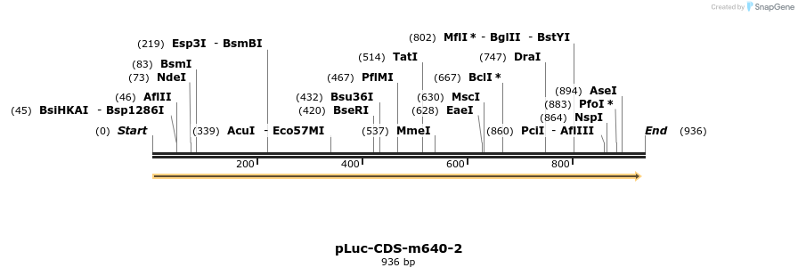 60131_map