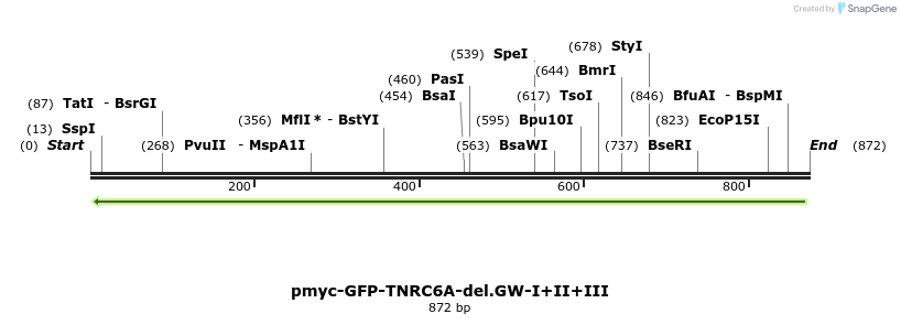 60138_map