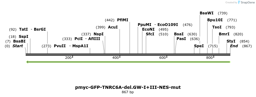 60152_map