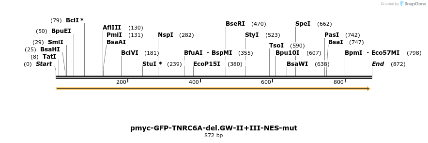 60155_map