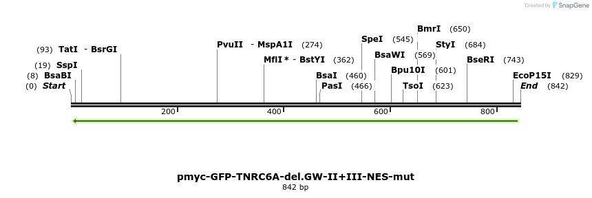 60156_map