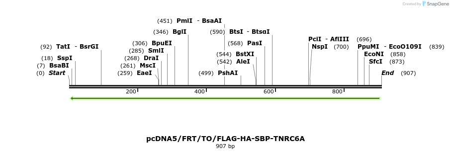 60157_map