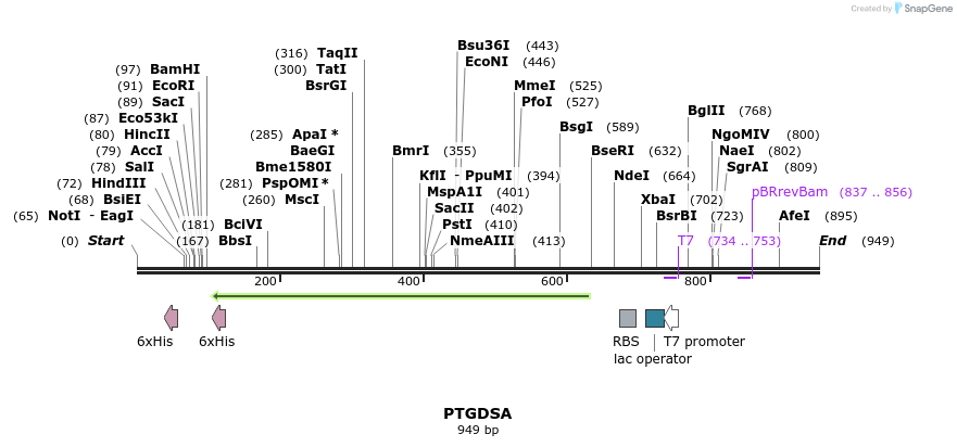 60158_map