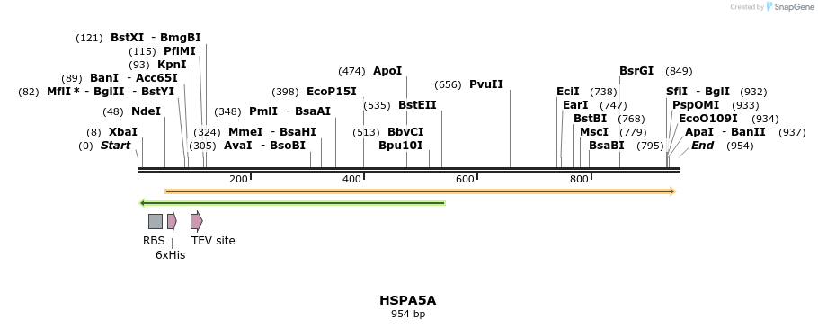 60168_map