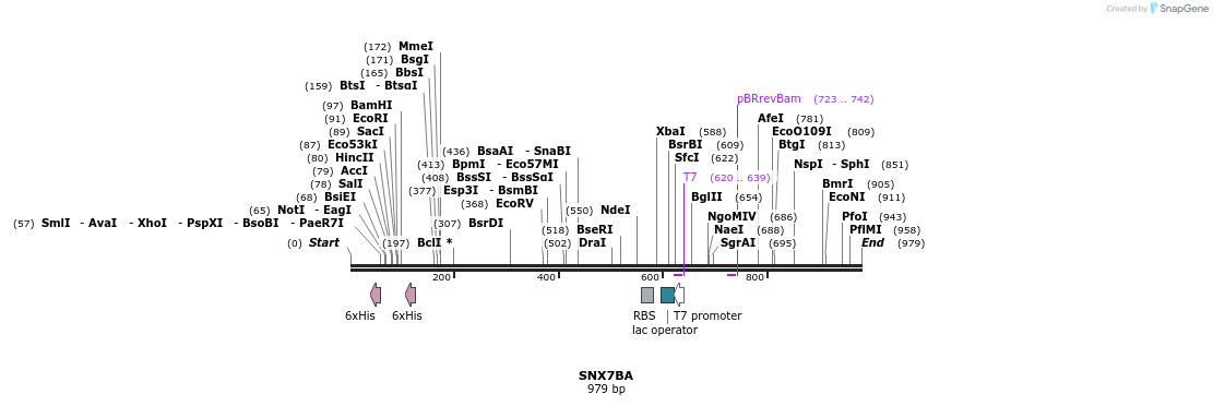 60171_map