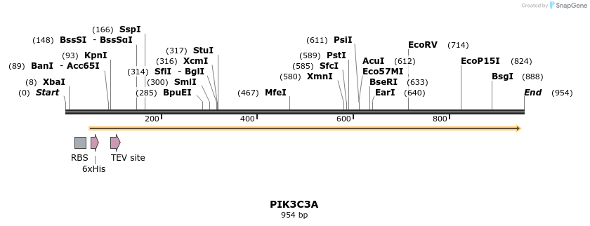 60172_map