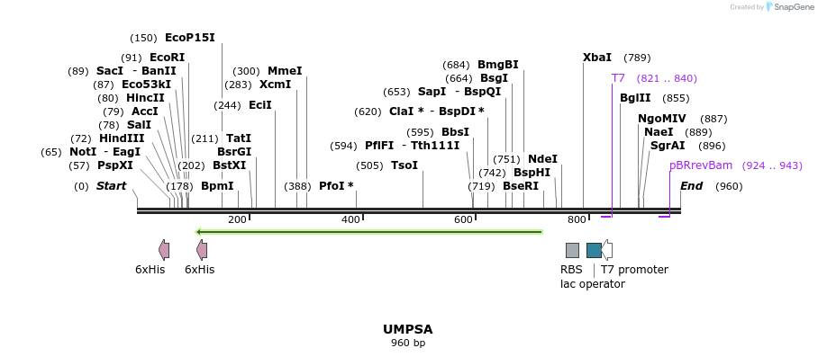 60175_map