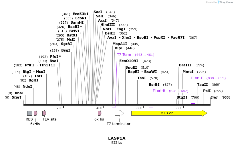 60176_map
