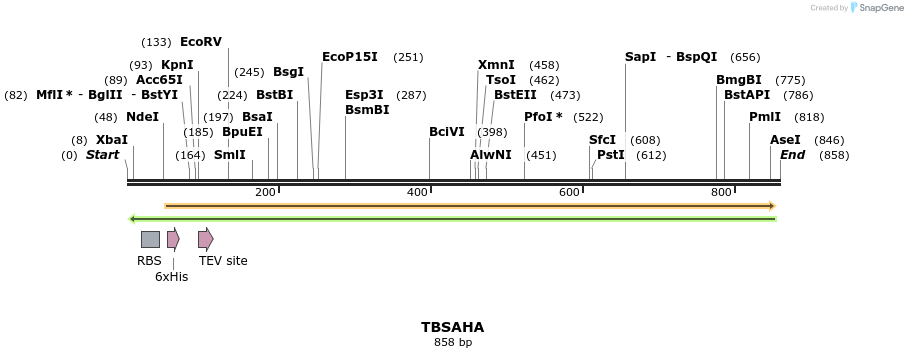 60180_map
