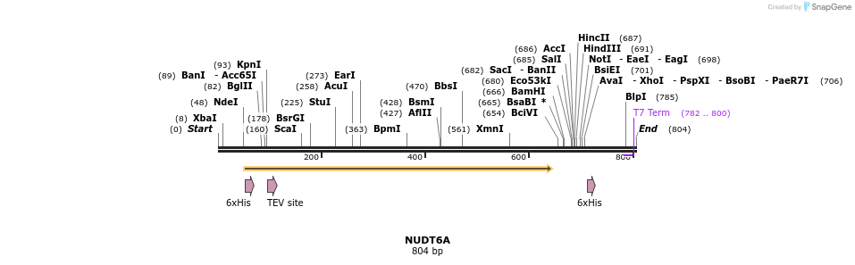 60181_map