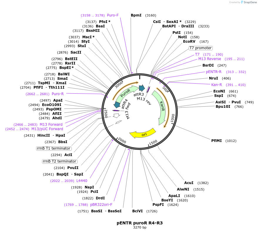 60191_map