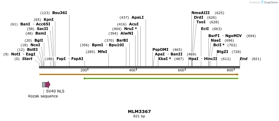 60203_map