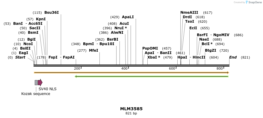 60204_map